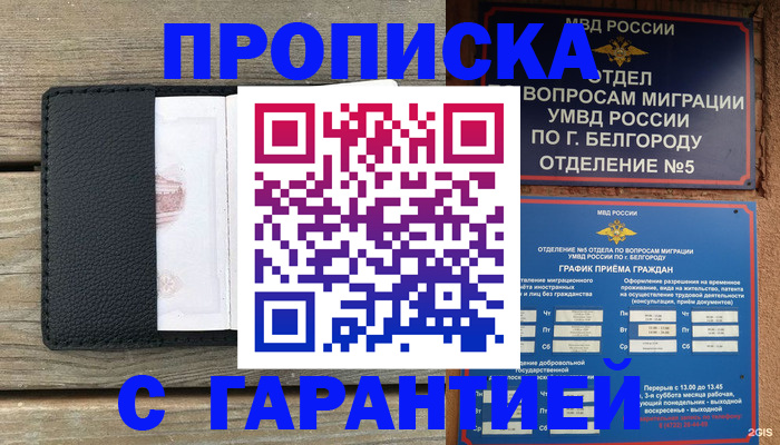 временная регистрация для всех в Волосово